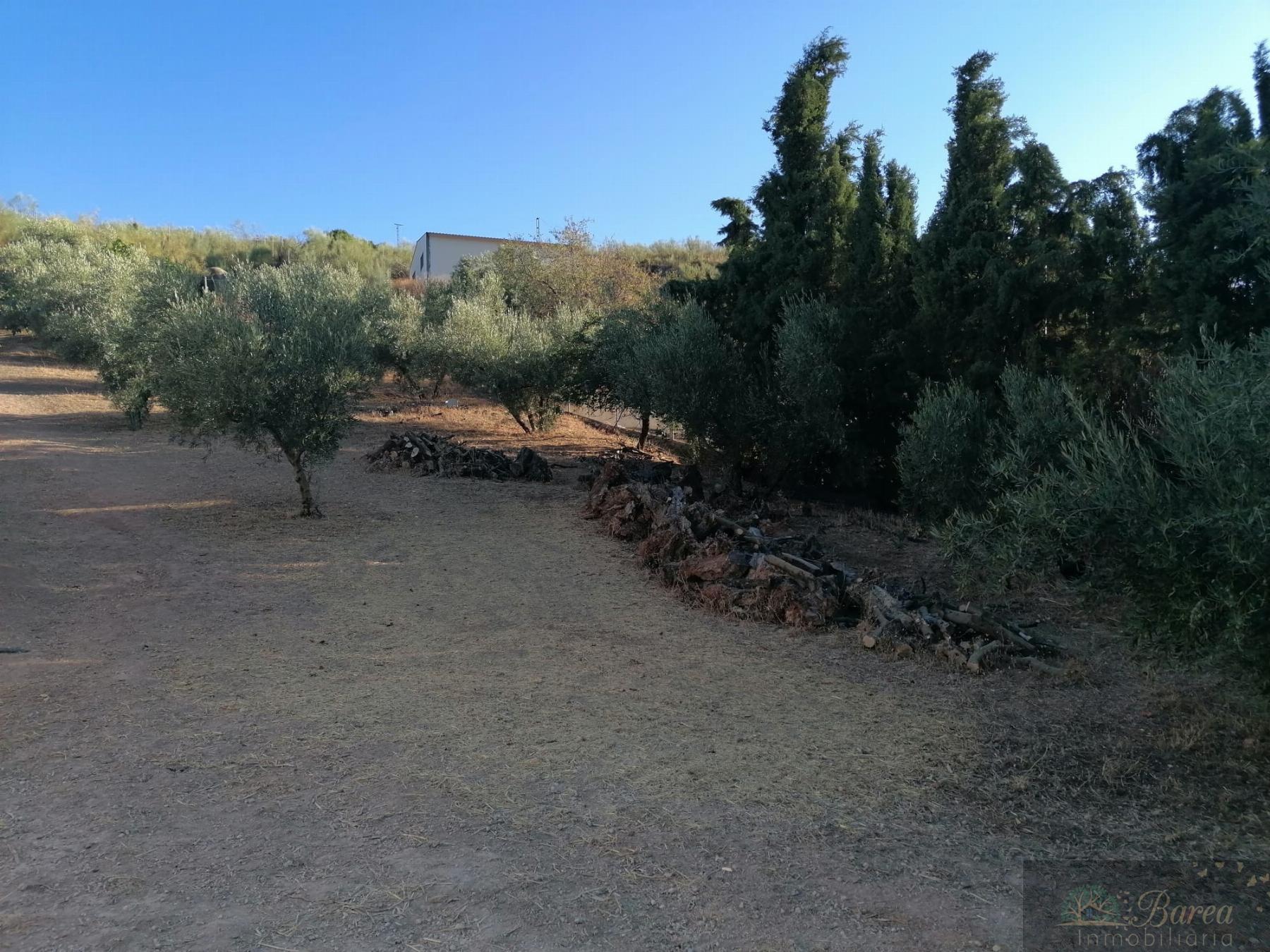 For sale of chalet in Rute