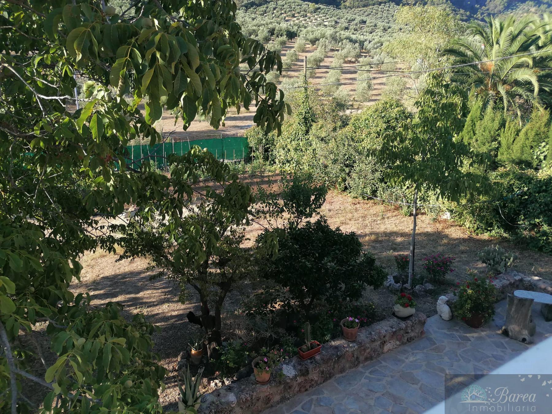 For sale of chalet in Rute