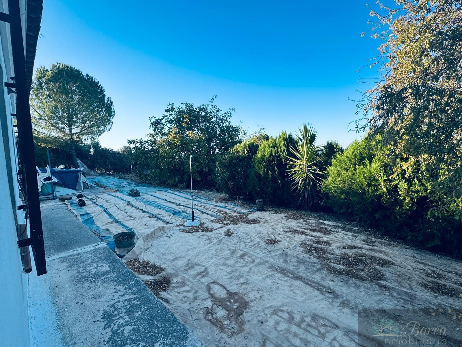 Venta de chalet en Rute