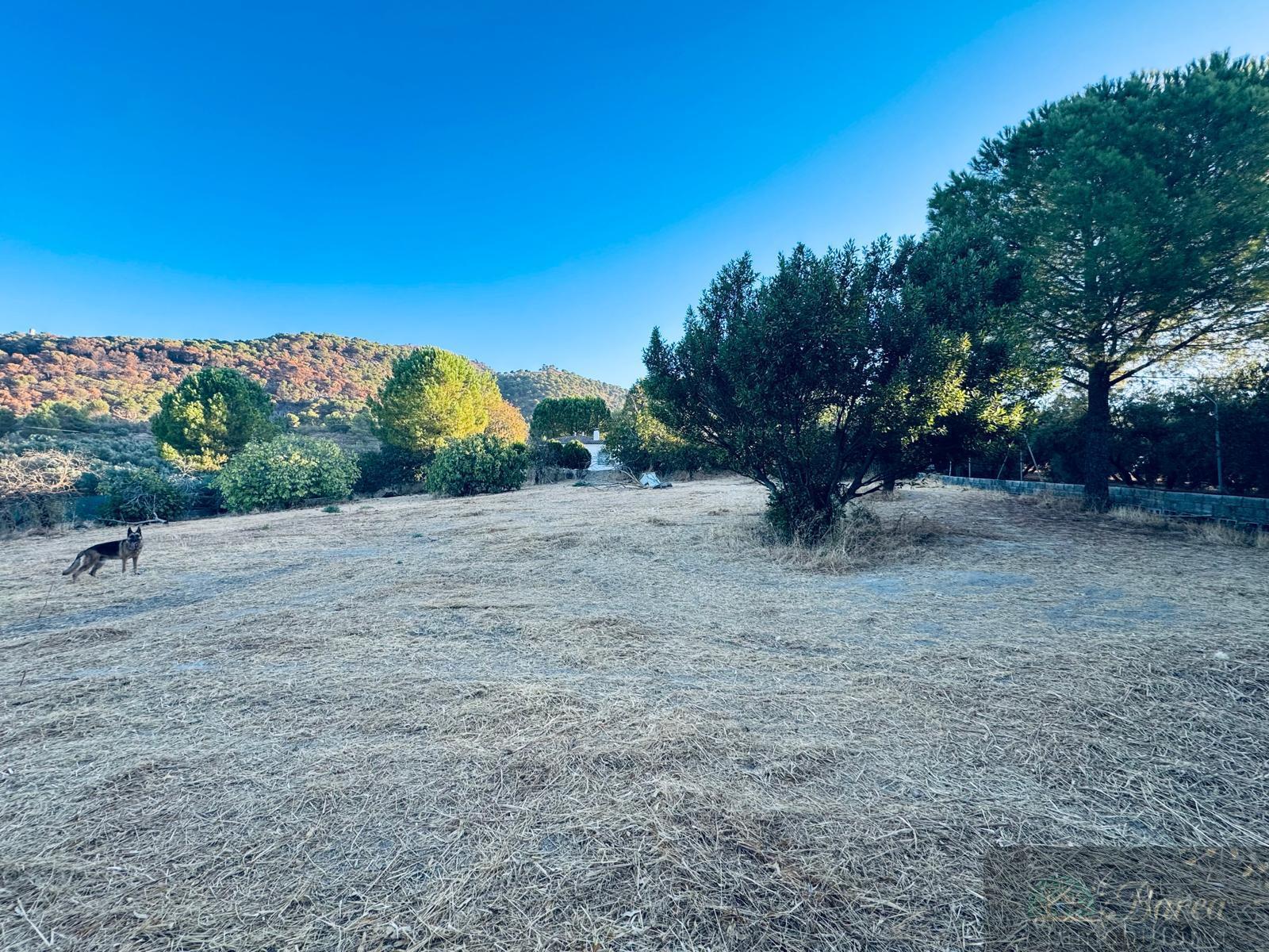 Venta de chalet en Rute