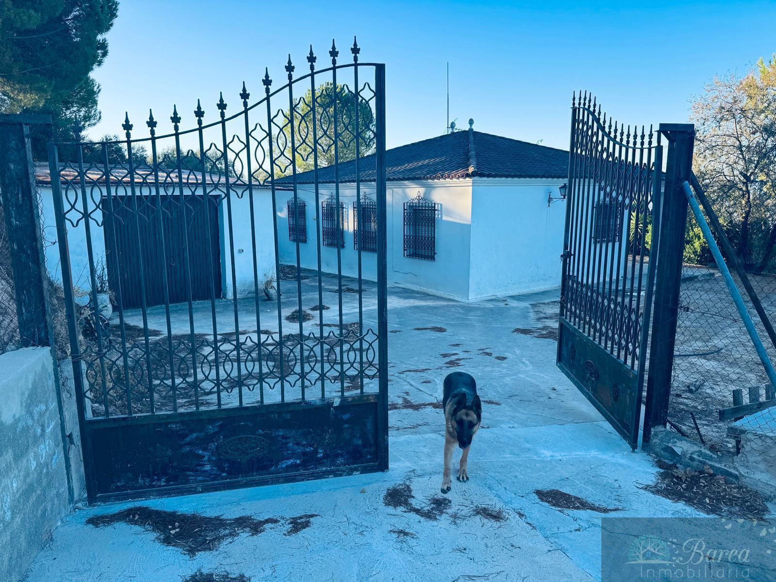 Venta de chalet en Rute