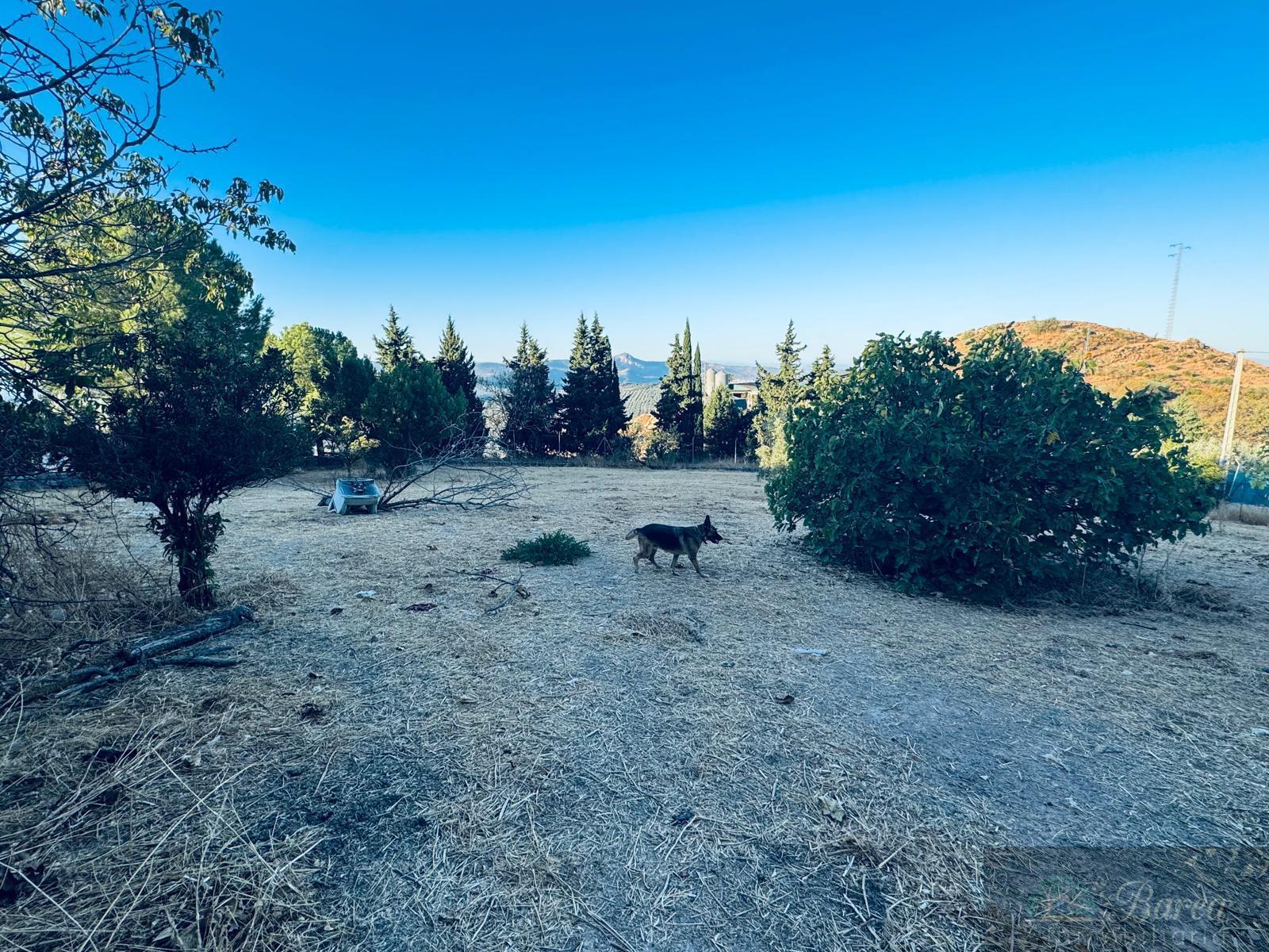 Venta de chalet en Rute
