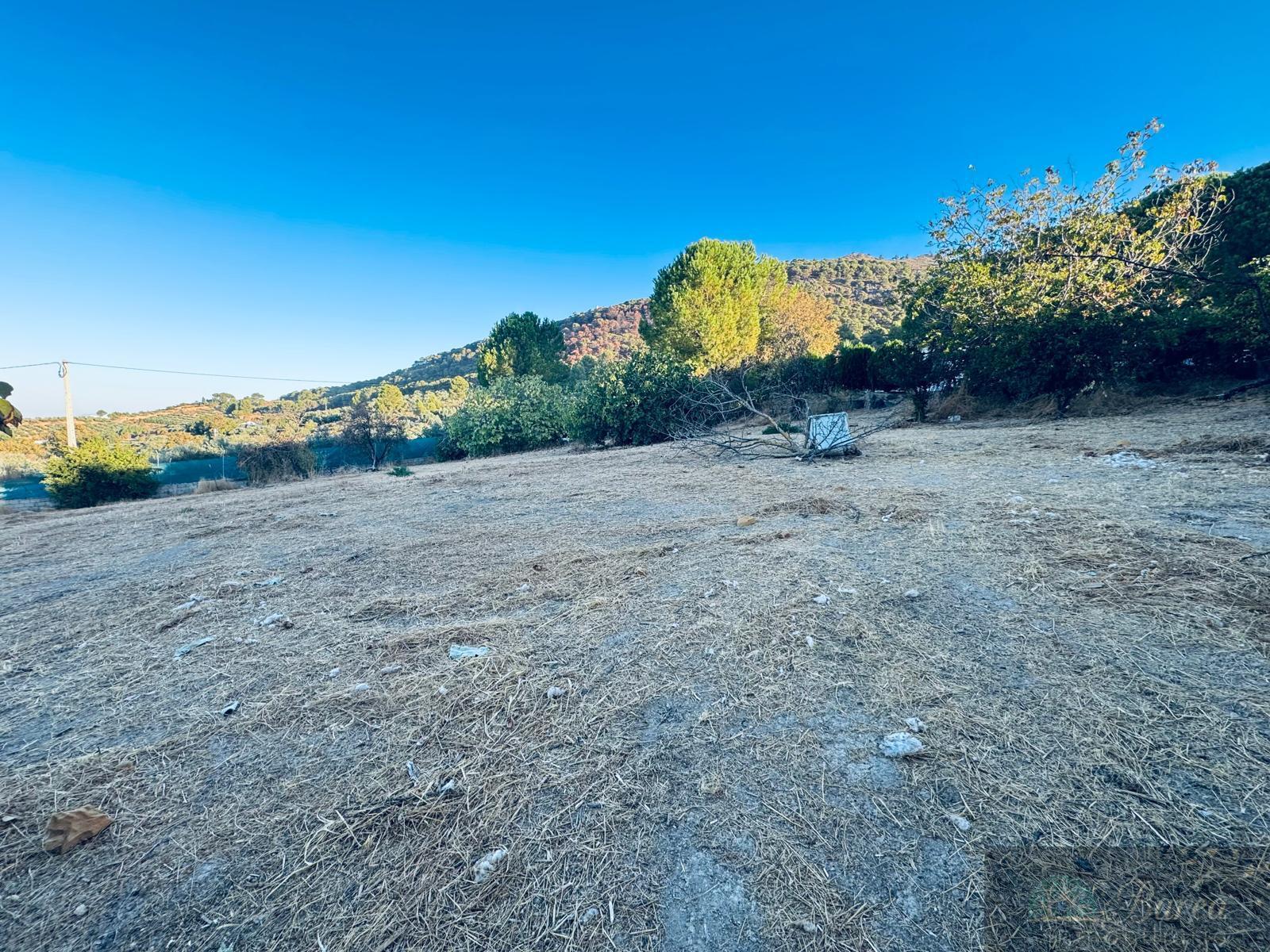 Venta de chalet en Rute