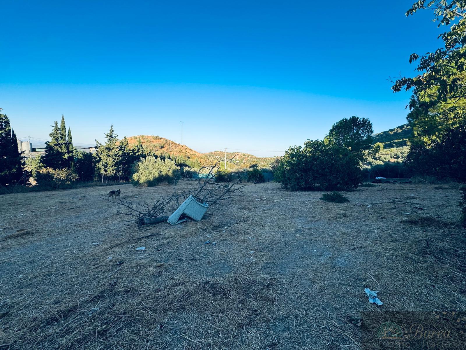 Venta de chalet en Rute