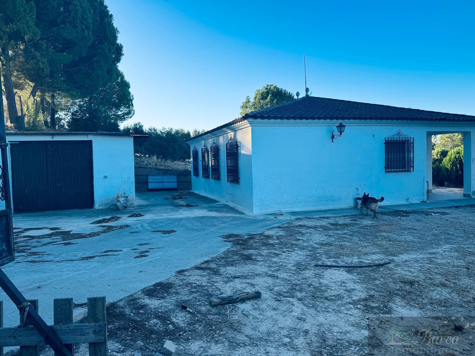 Venta de chalet en Rute