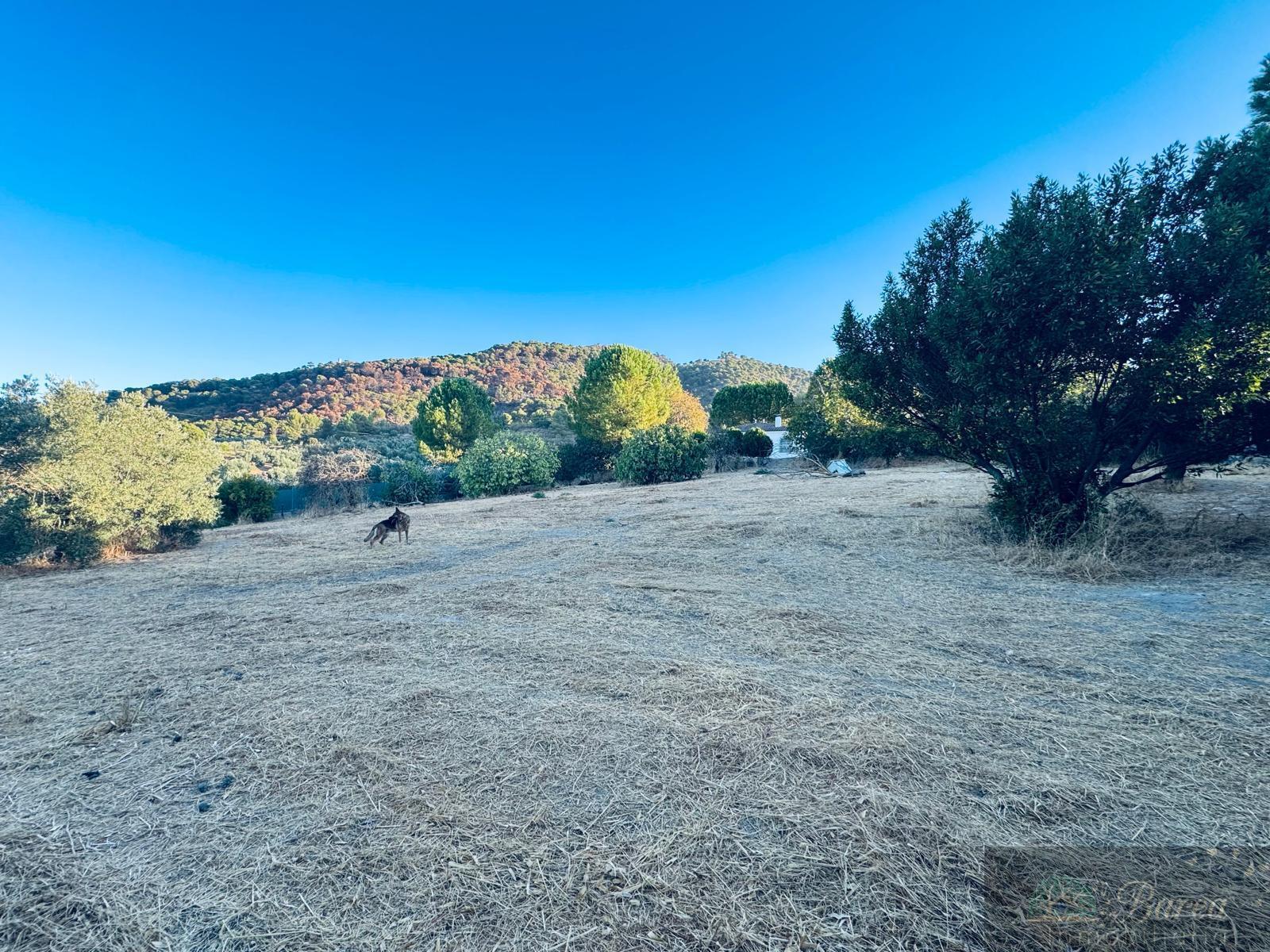 Venta de chalet en Rute