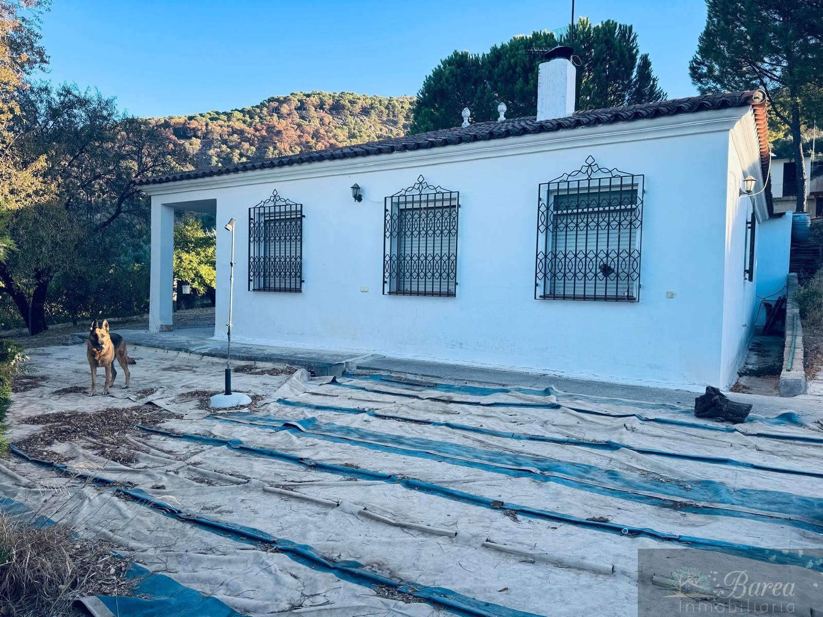 Venta de chalet en Rute