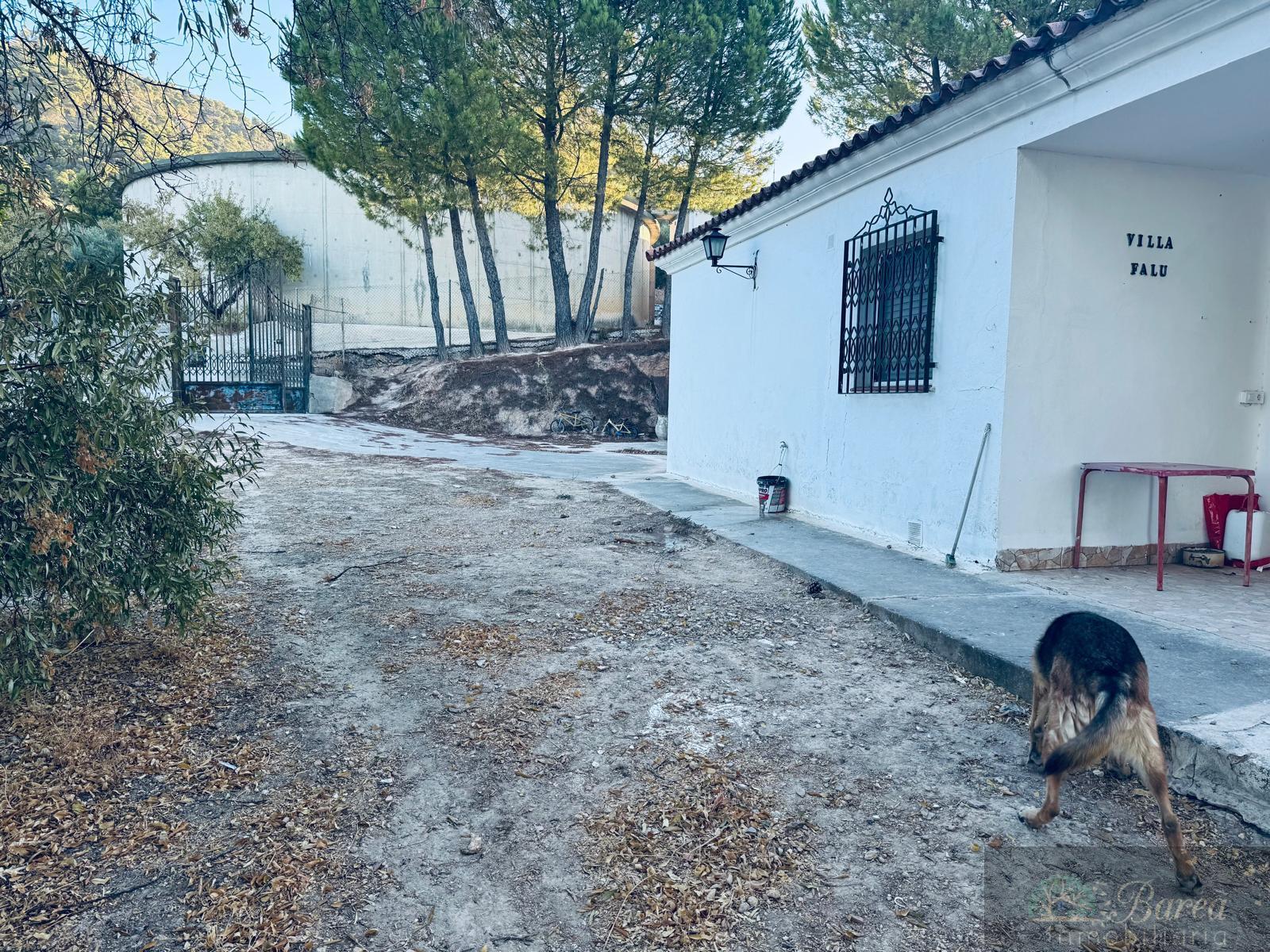 Venta de chalet en Rute