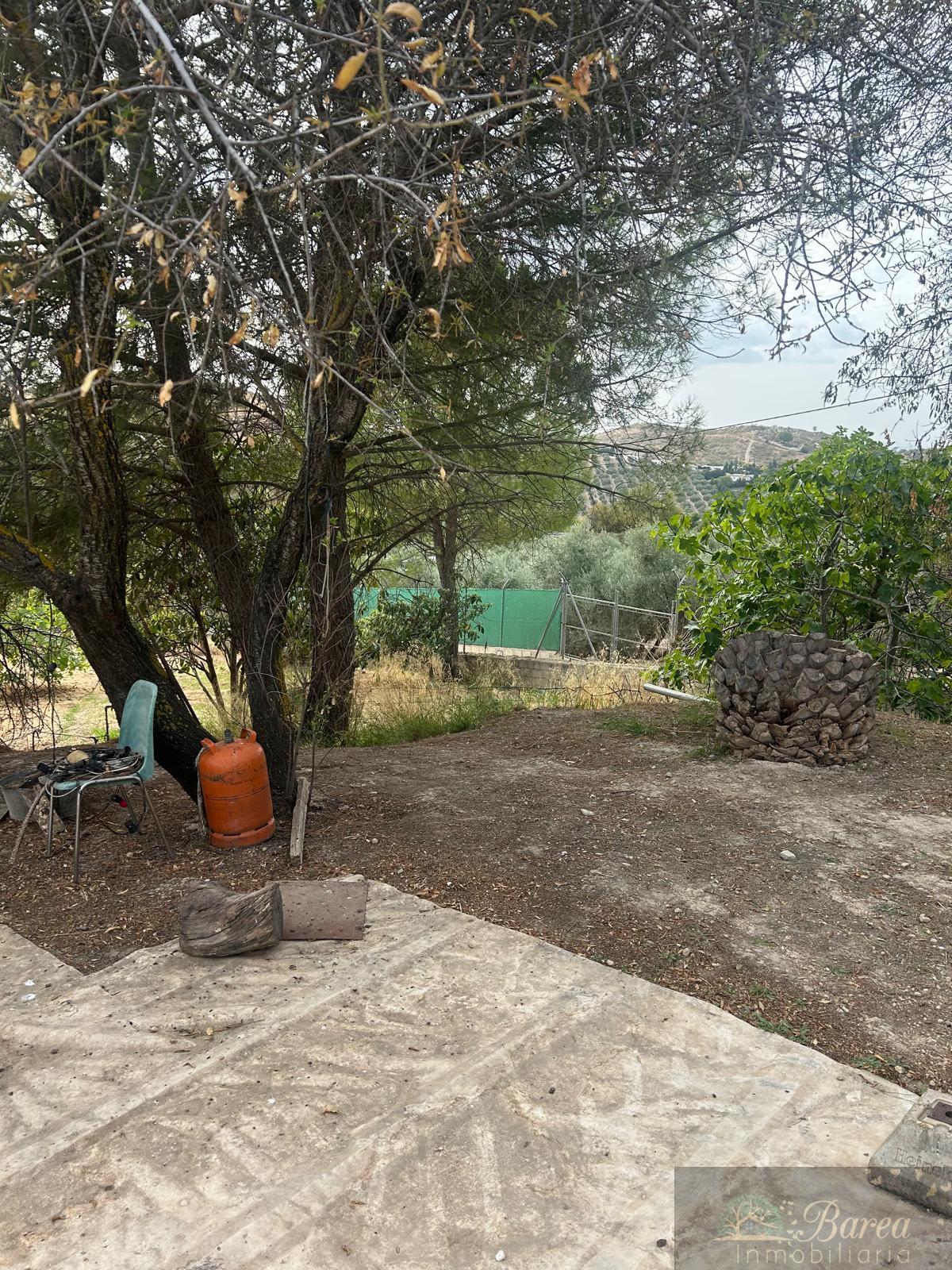 Venta de chalet en Rute