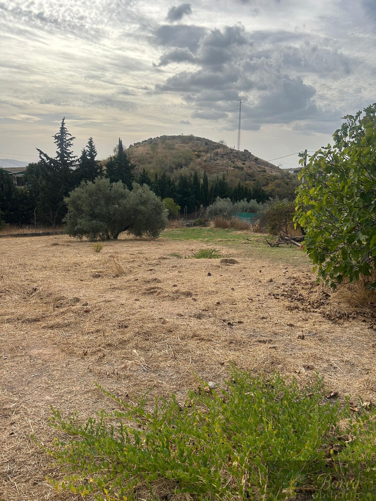 Venta de chalet en Rute