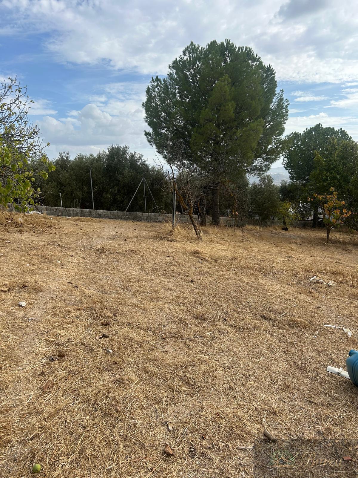 Venta de chalet en Rute