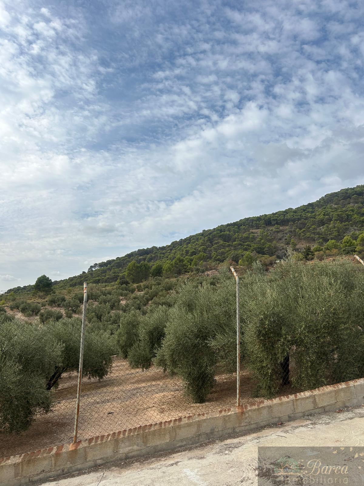 Venta de chalet en Rute