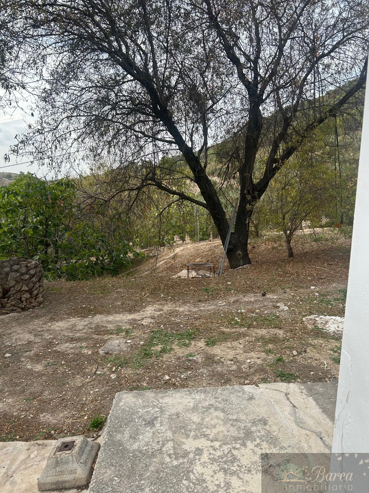 Venta de chalet en Rute