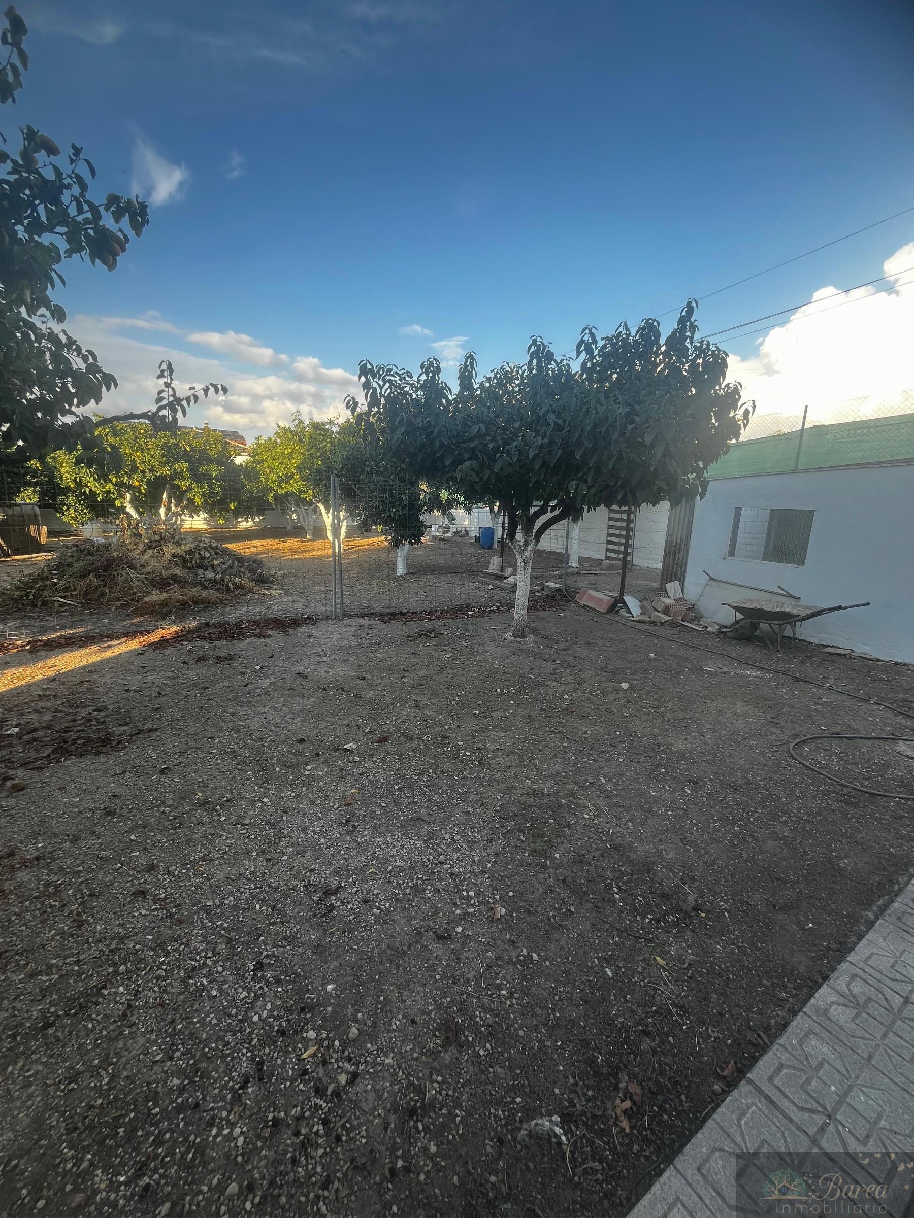 Venta de chalet en Lucena