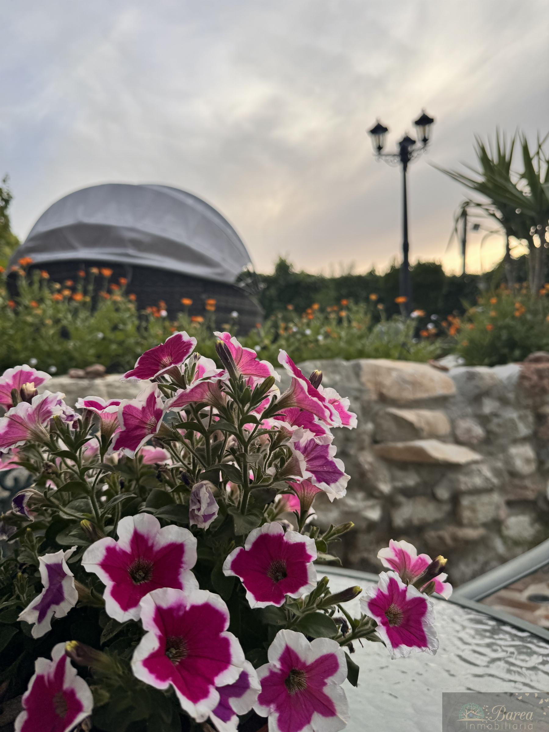 Venta de chalet en Carcabuey