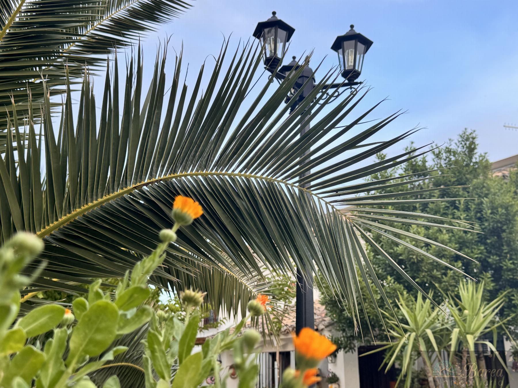 Venta de chalet en Carcabuey