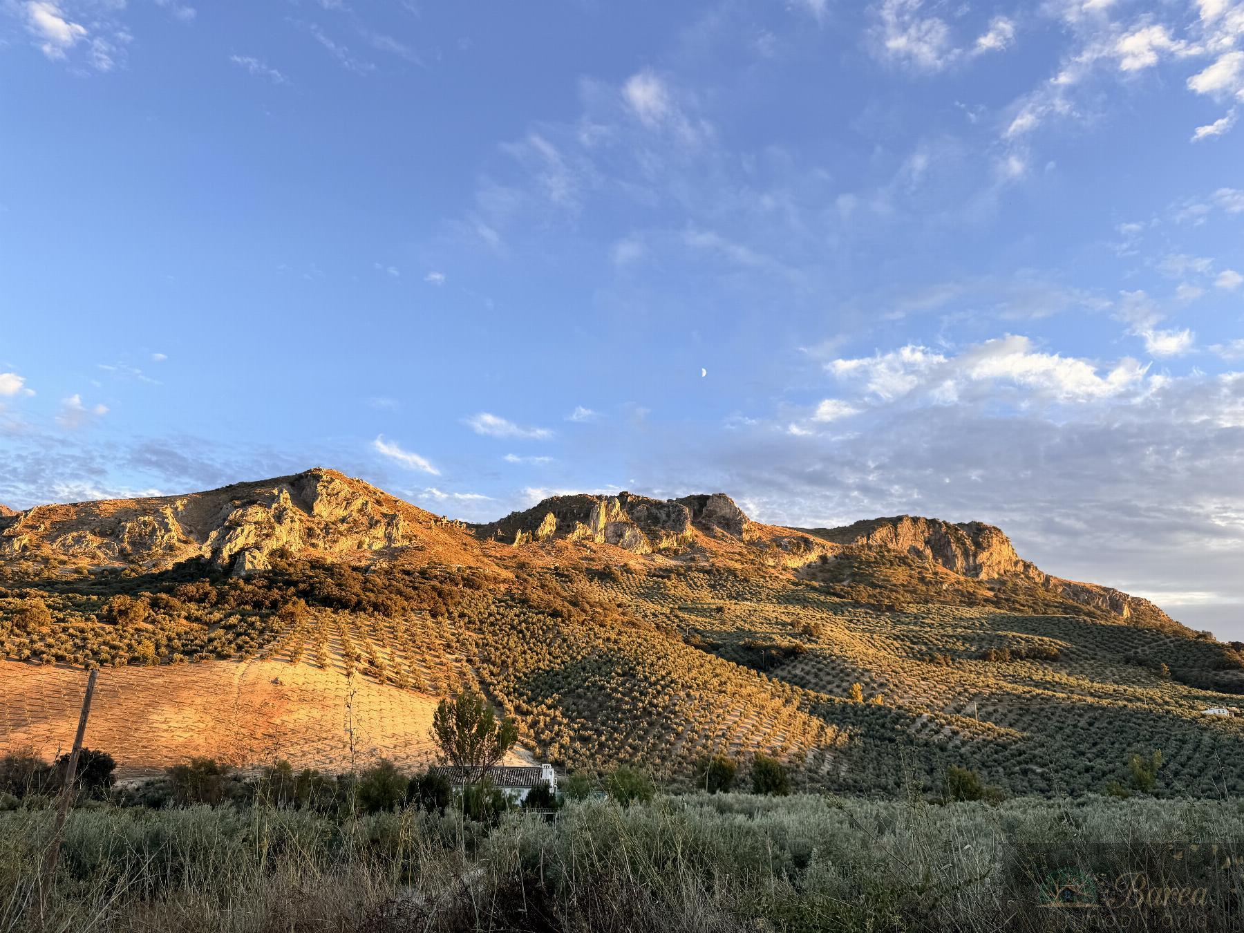 Venta de chalet en Carcabuey