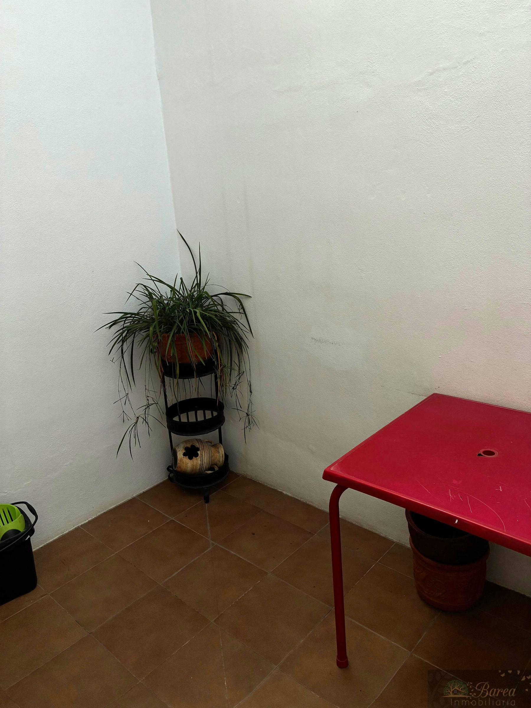 For sale of house in Rute