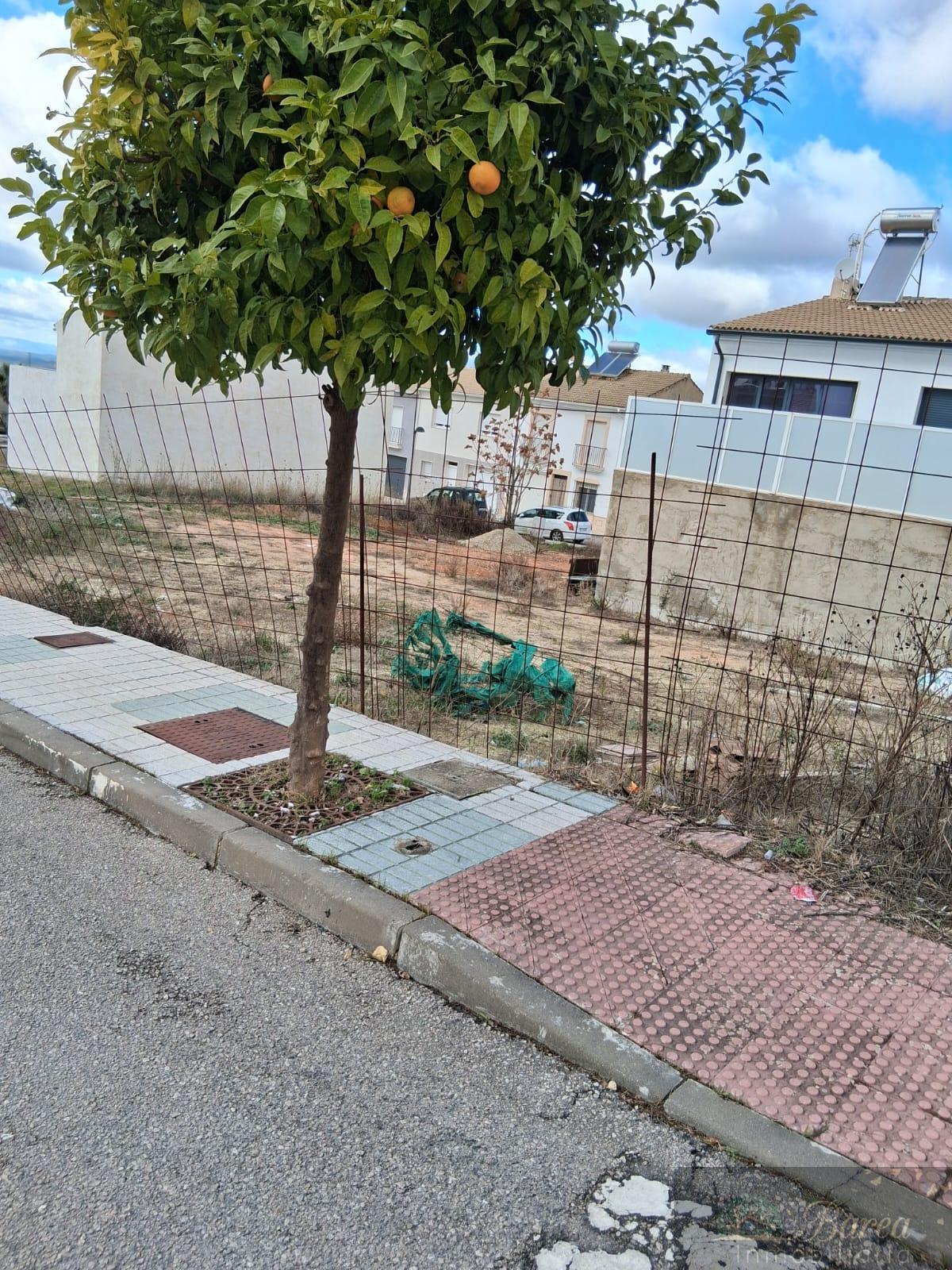 Venta de terreno en Rute