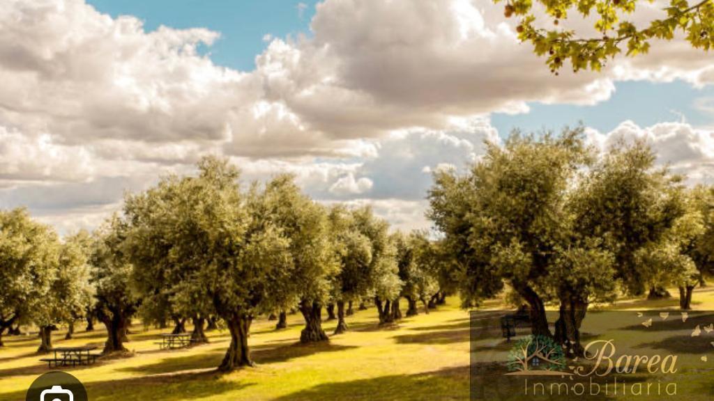 For sale of rural property in Rute