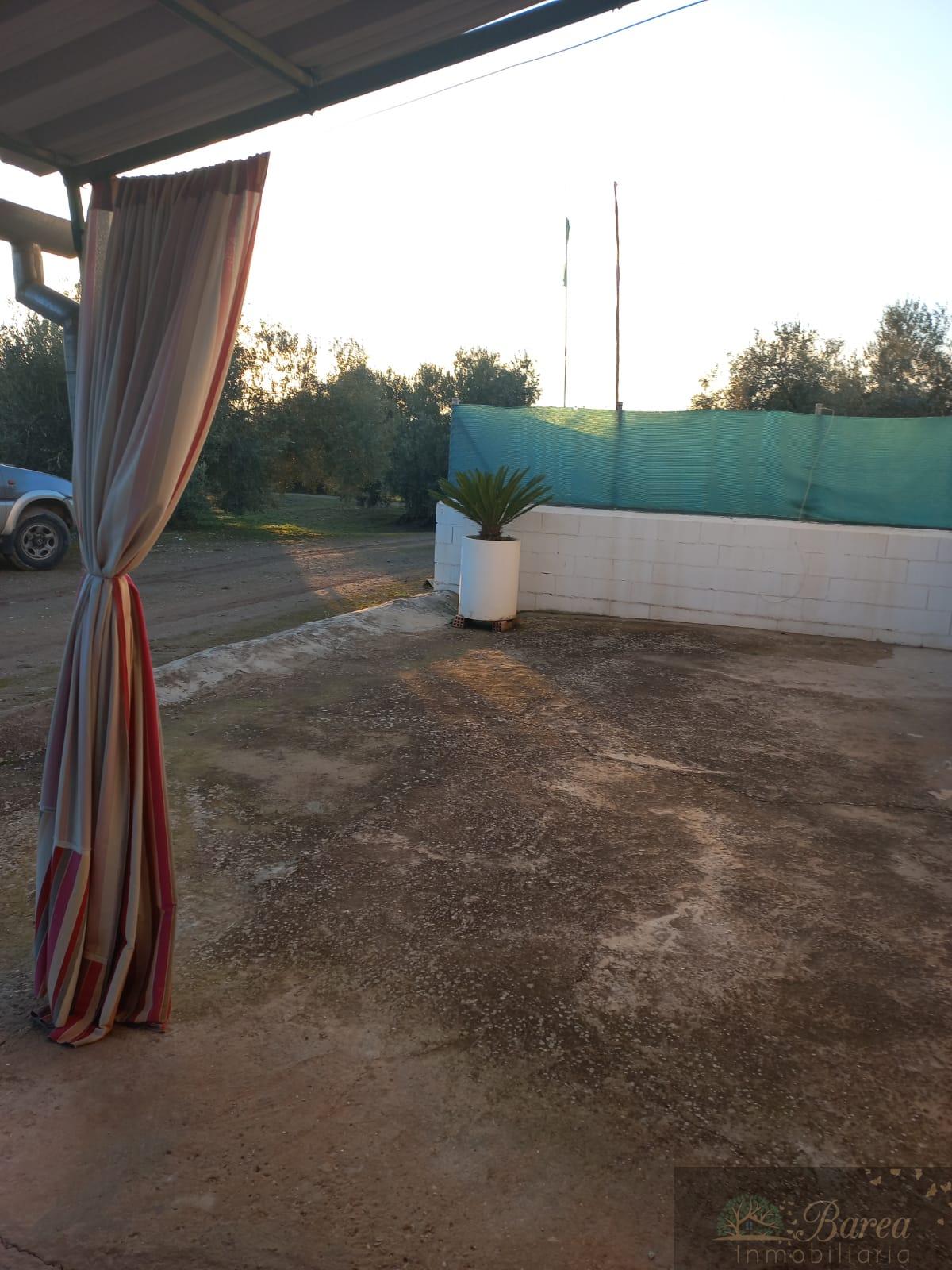 Venda de casa em Rute
