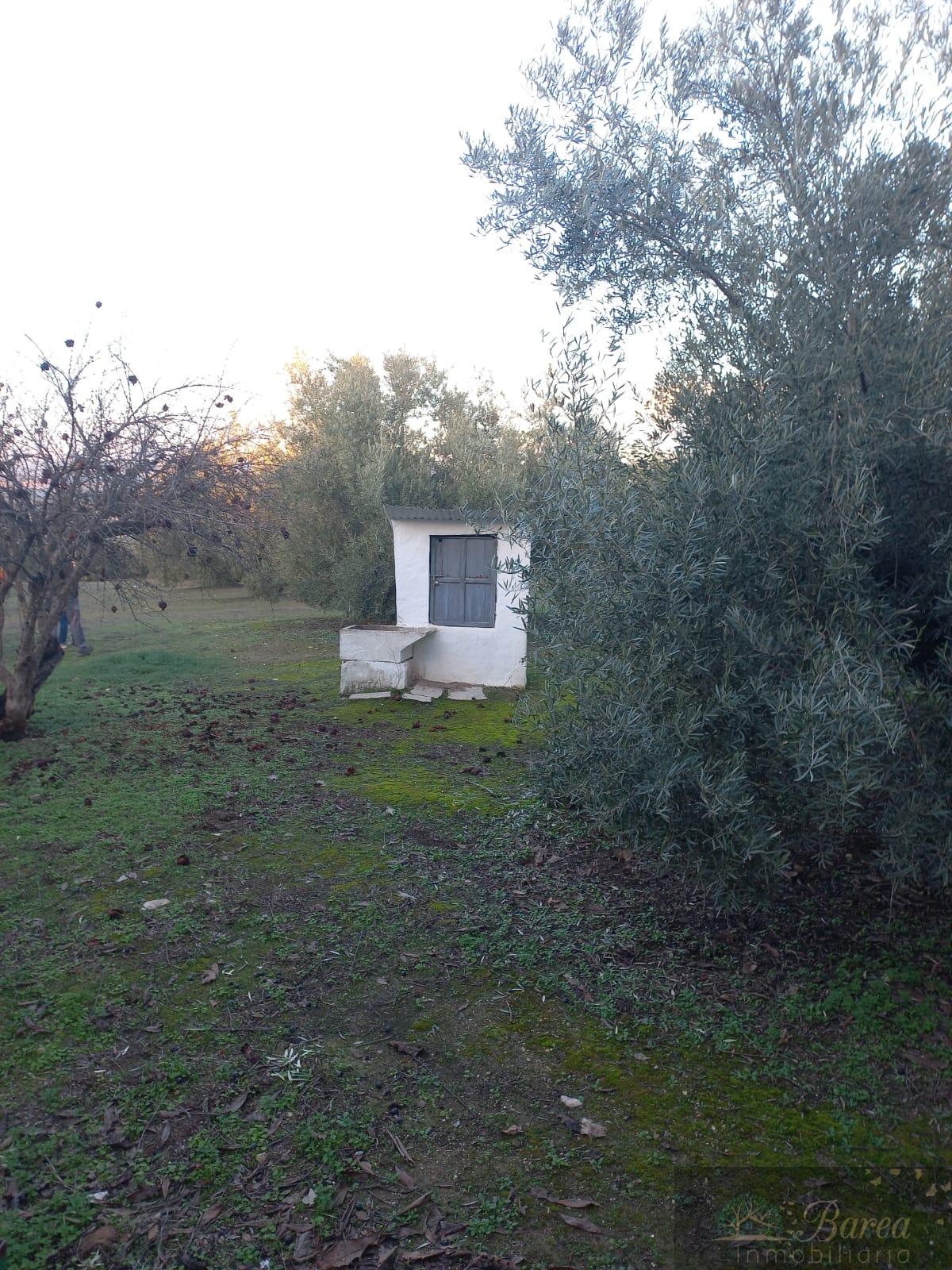 Venda de casa em Rute