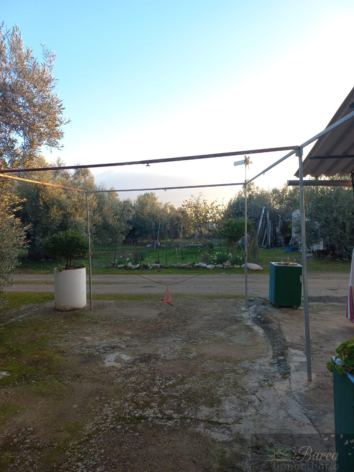 Venda de casa em Rute