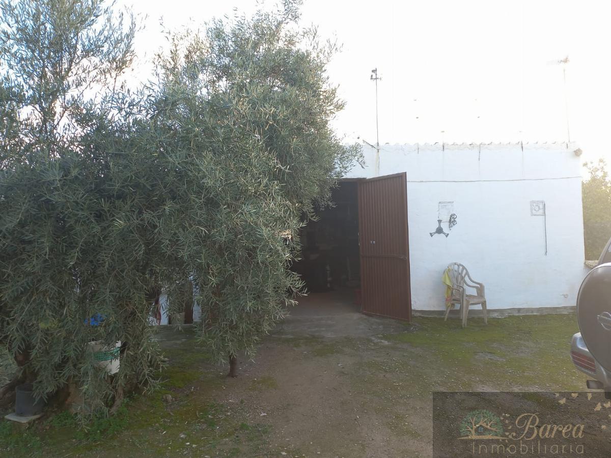 For sale of house in Rute