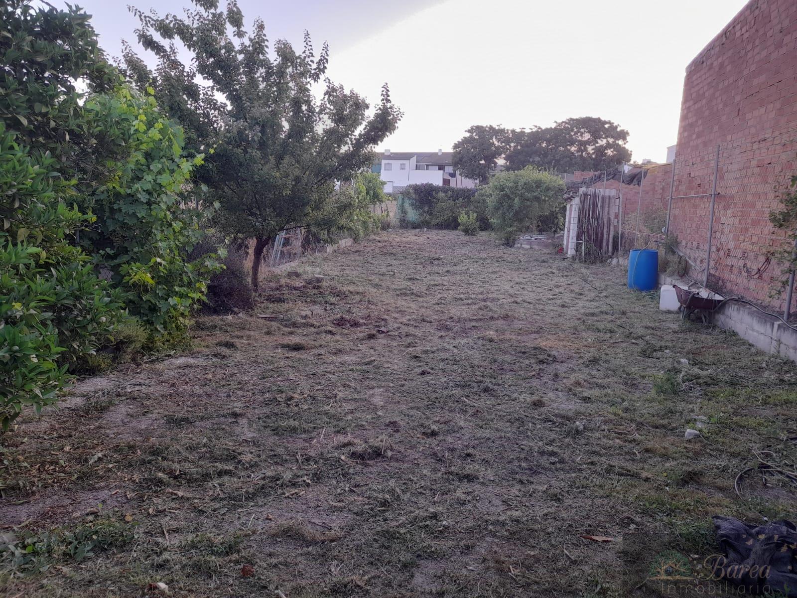 For sale of rural property in Rute