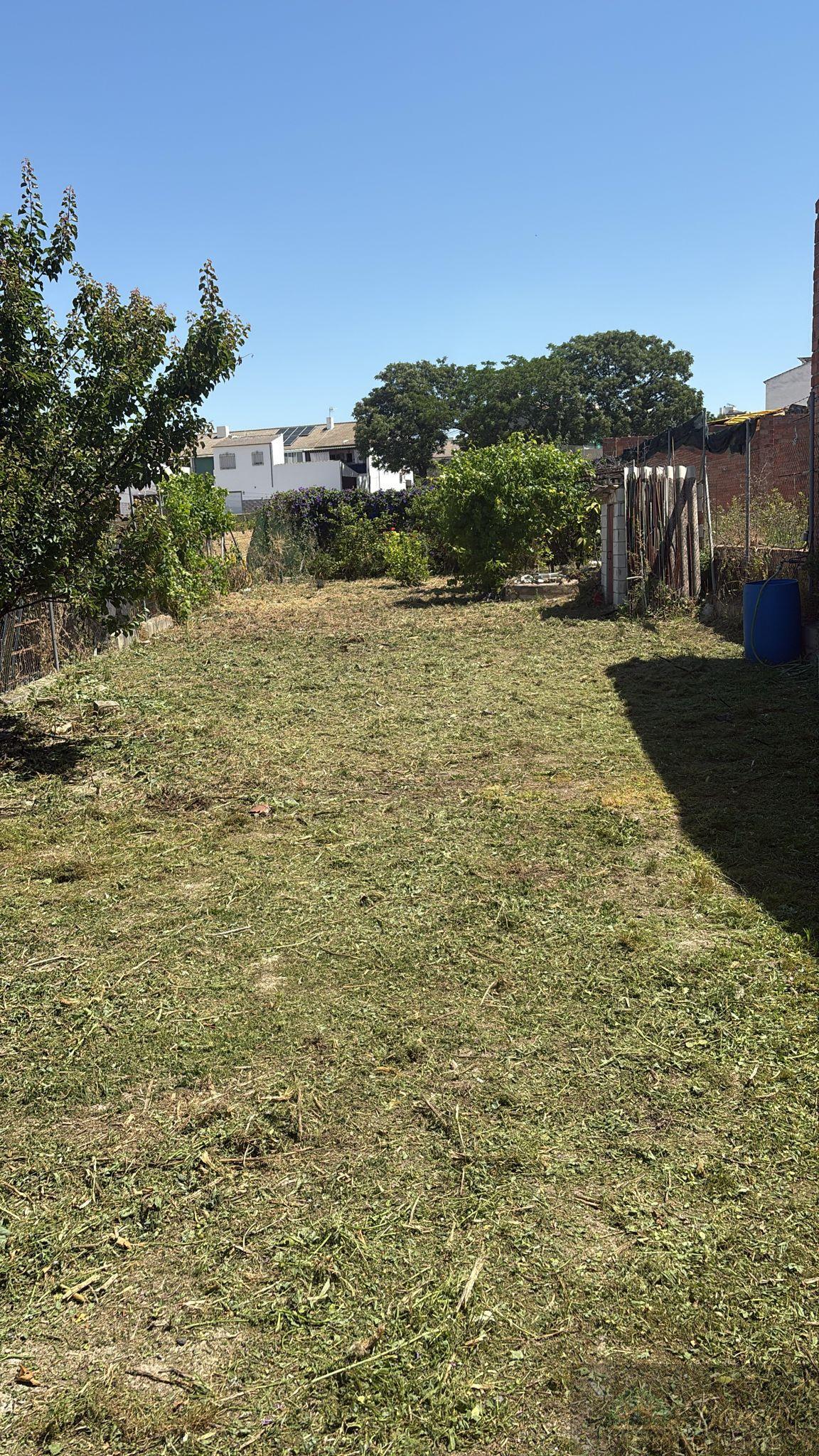 For sale of rural property in Rute