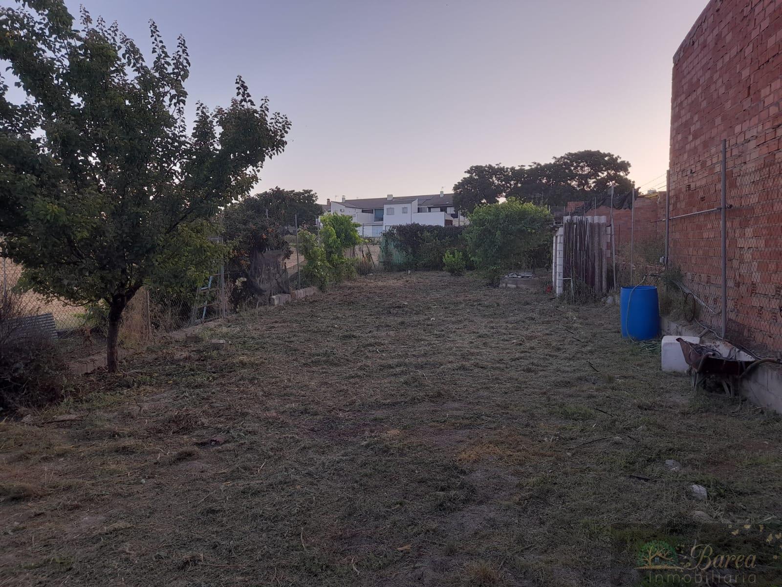 Venta de finca rústica en Rute