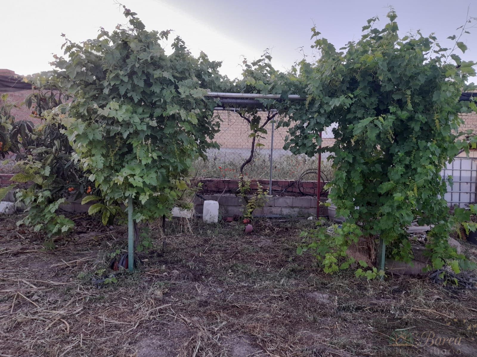 For sale of rural property in Rute