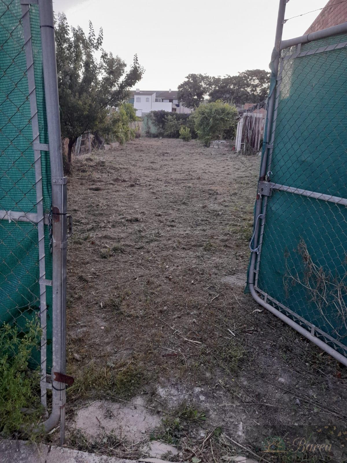 For sale of rural property in Rute