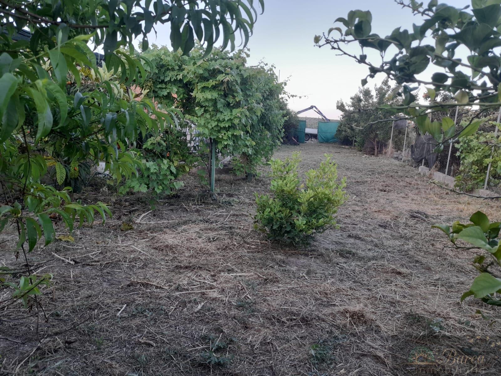 For sale of rural property in Rute