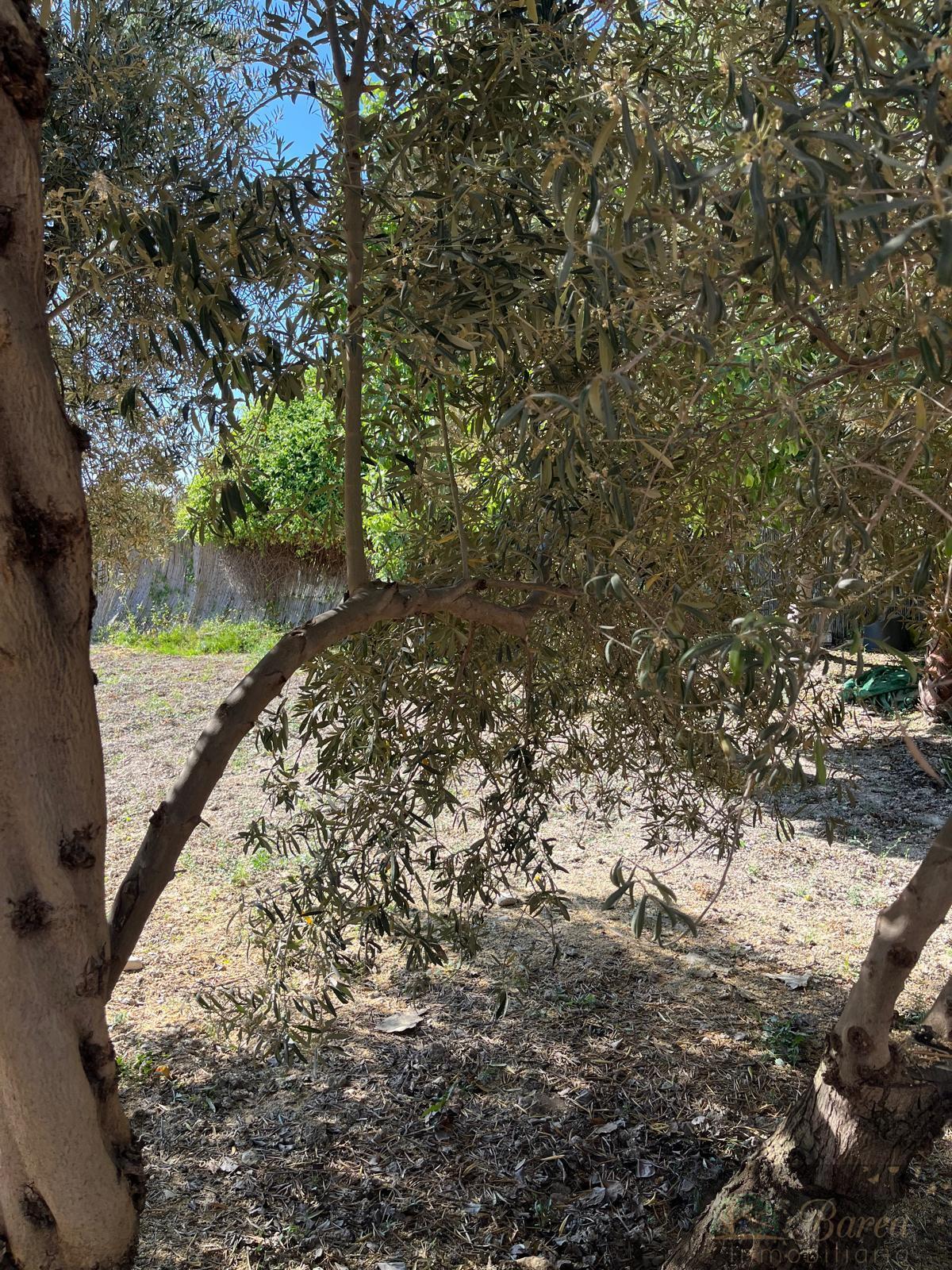 Venta de finca de recreo en Rute