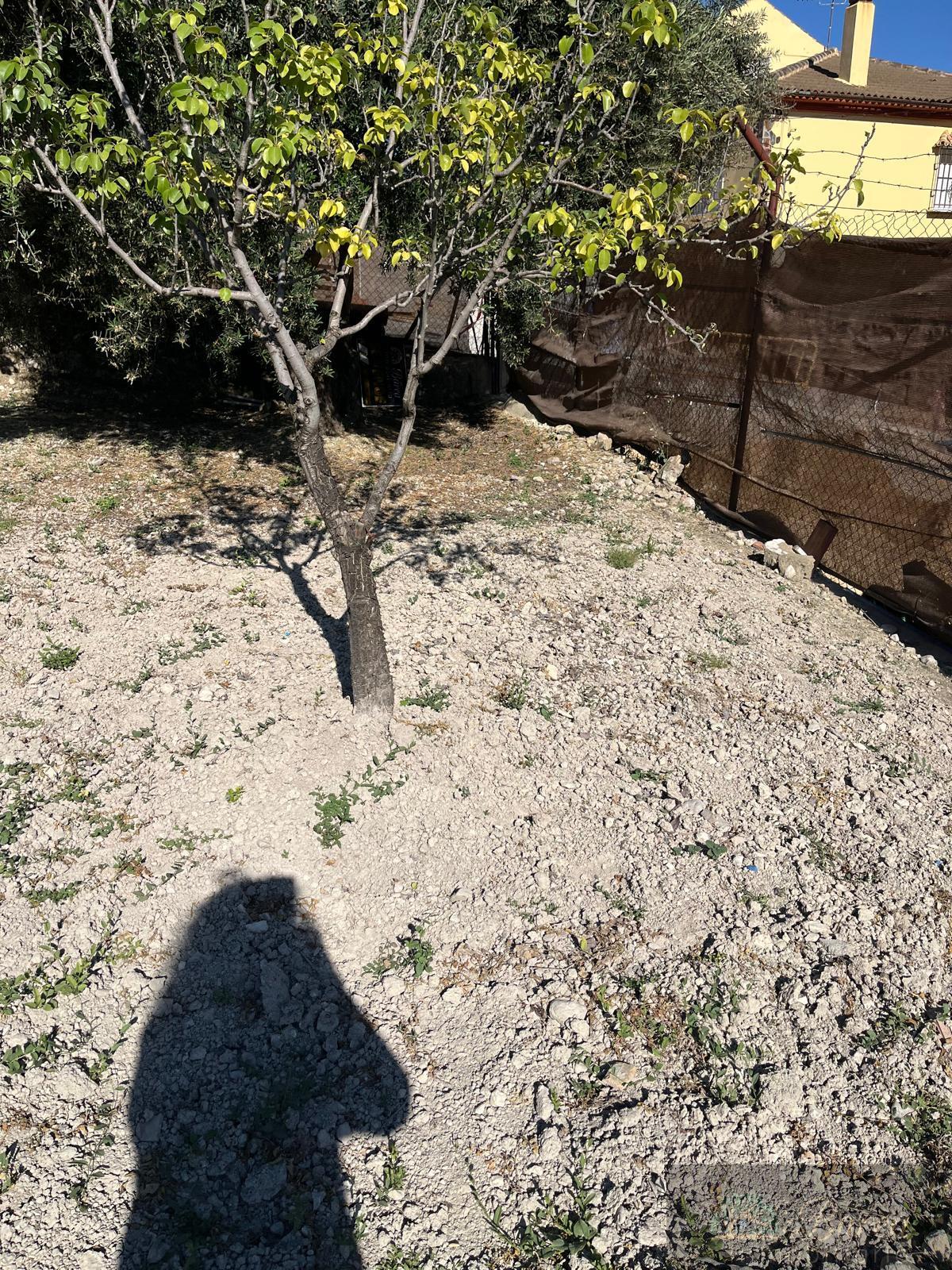 Venta de finca de recreo en Rute