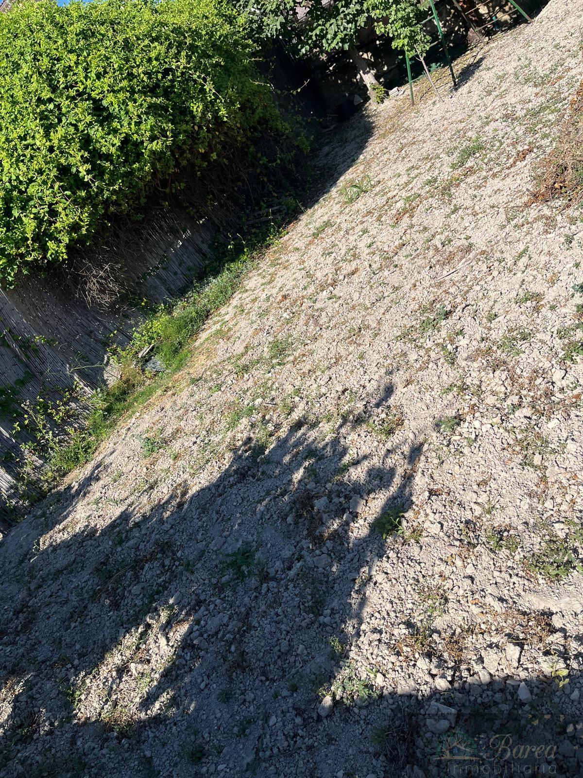 Venta de finca de recreo en Rute