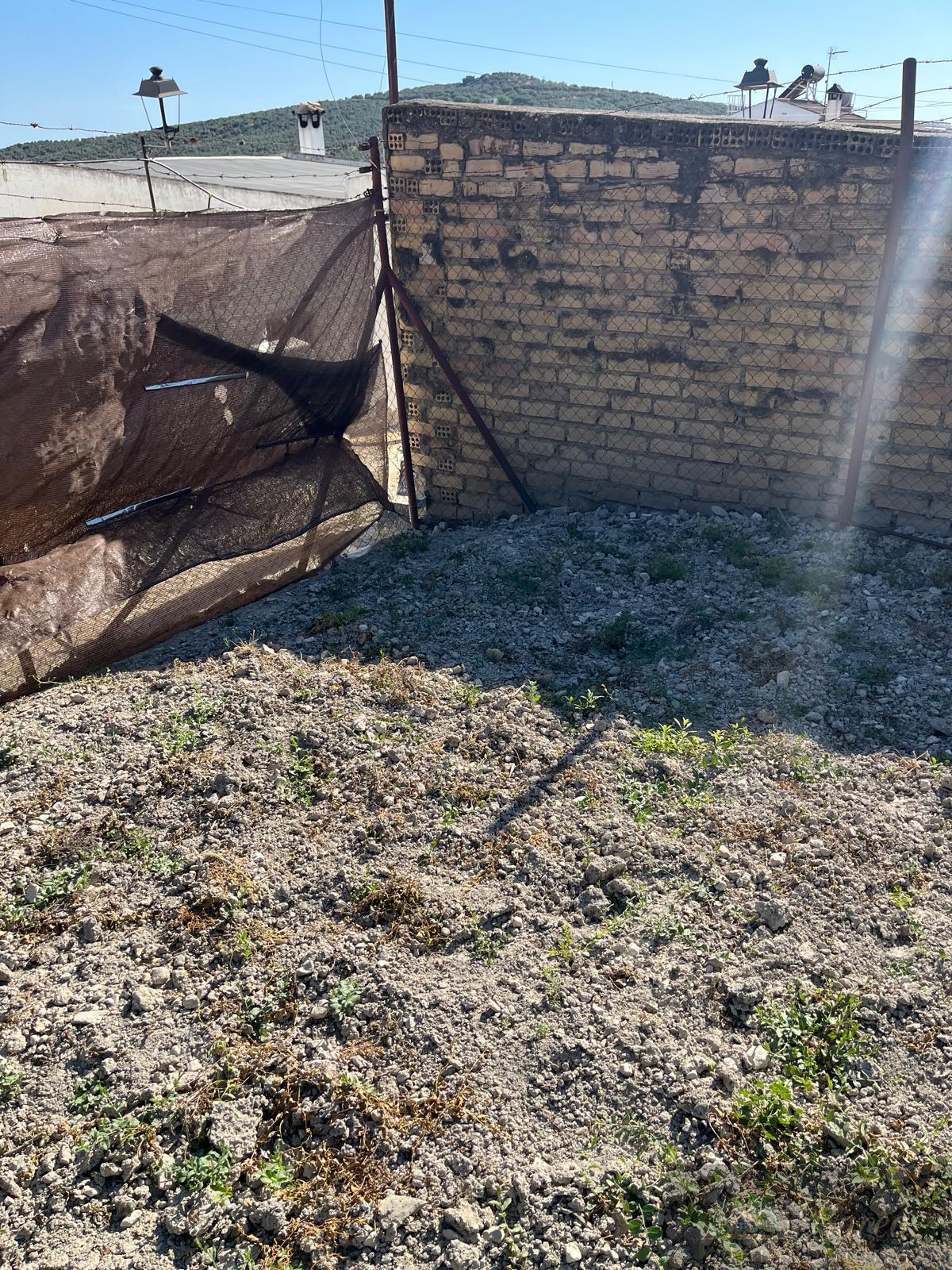 Venta de finca de recreo en Rute