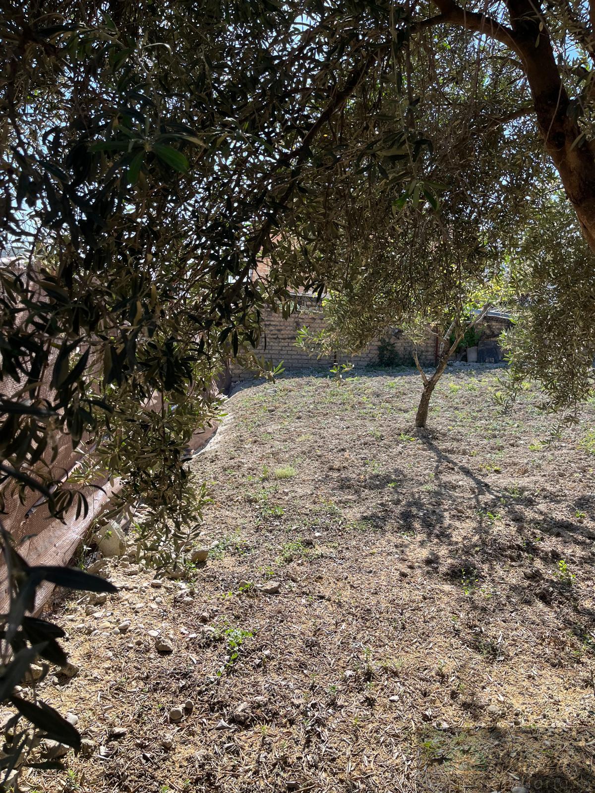 Venta de finca de recreo en Rute