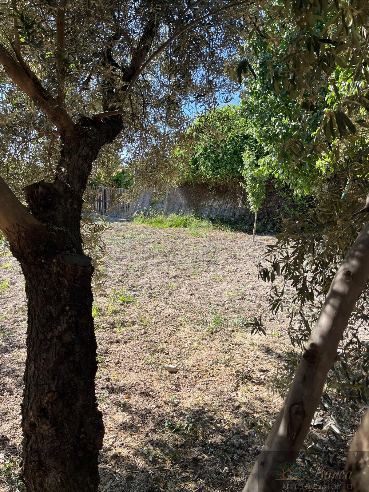 Venta de finca de recreo en Rute