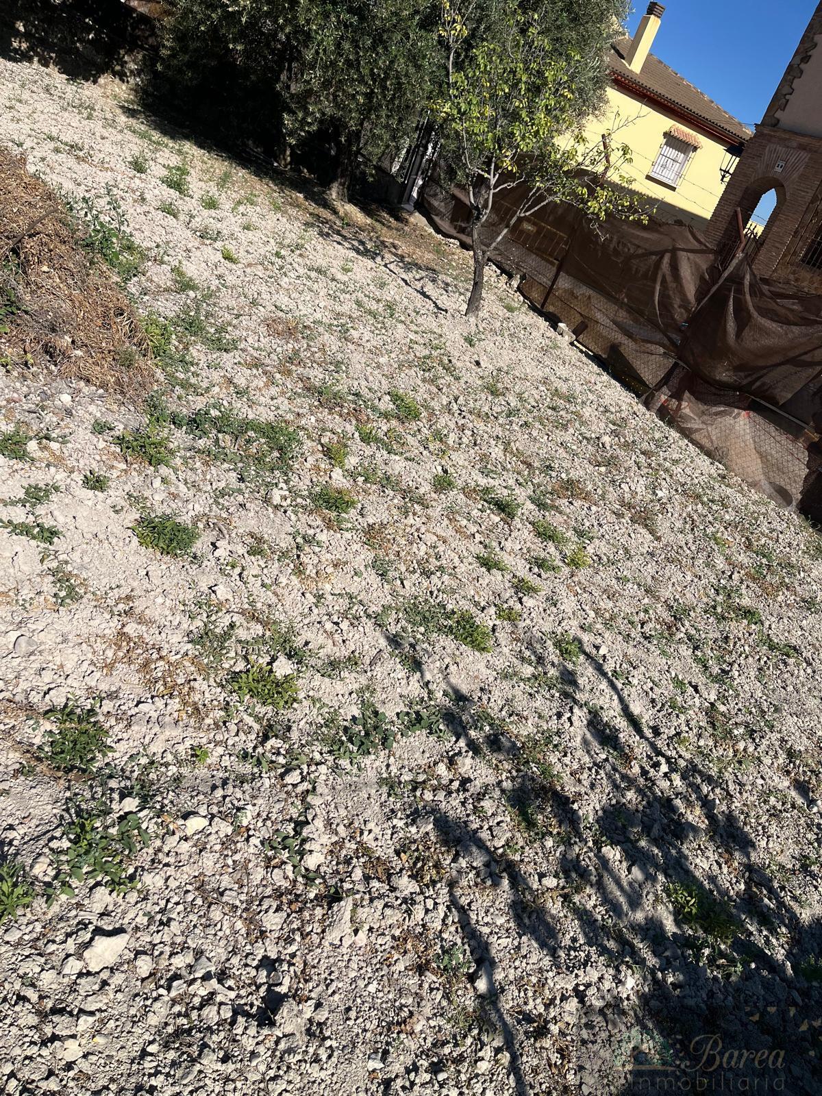Venta de finca de recreo en Rute