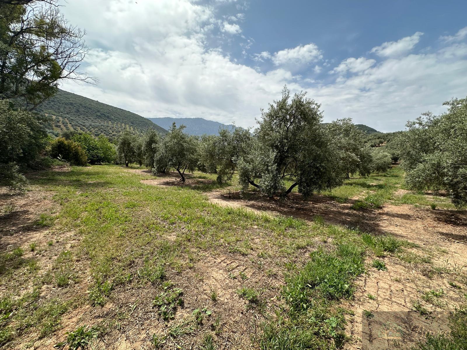 Venta de casa en Rute
