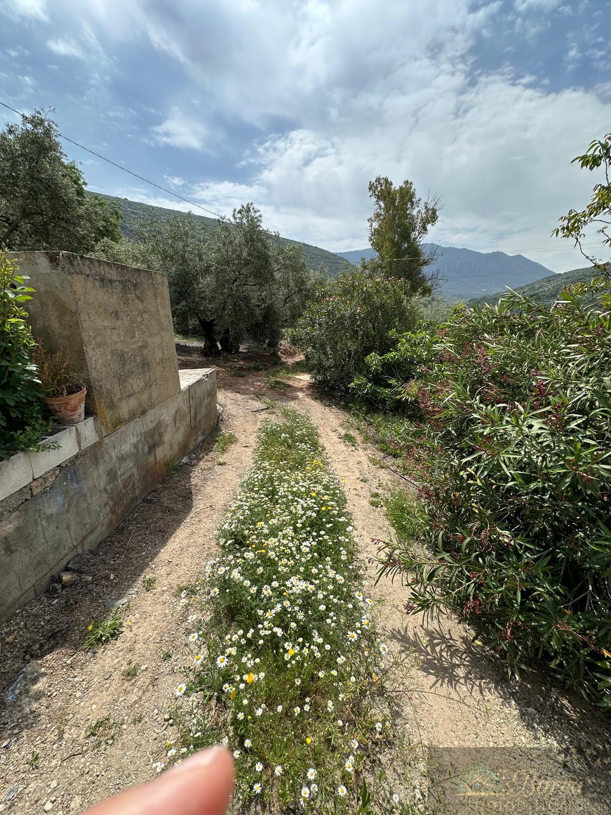 Venta de casa en Rute