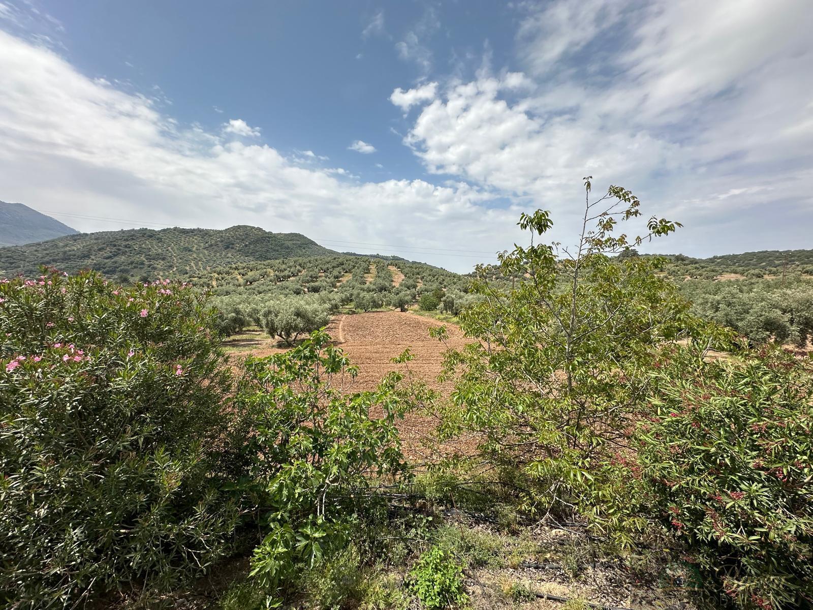 Venta de casa en Rute