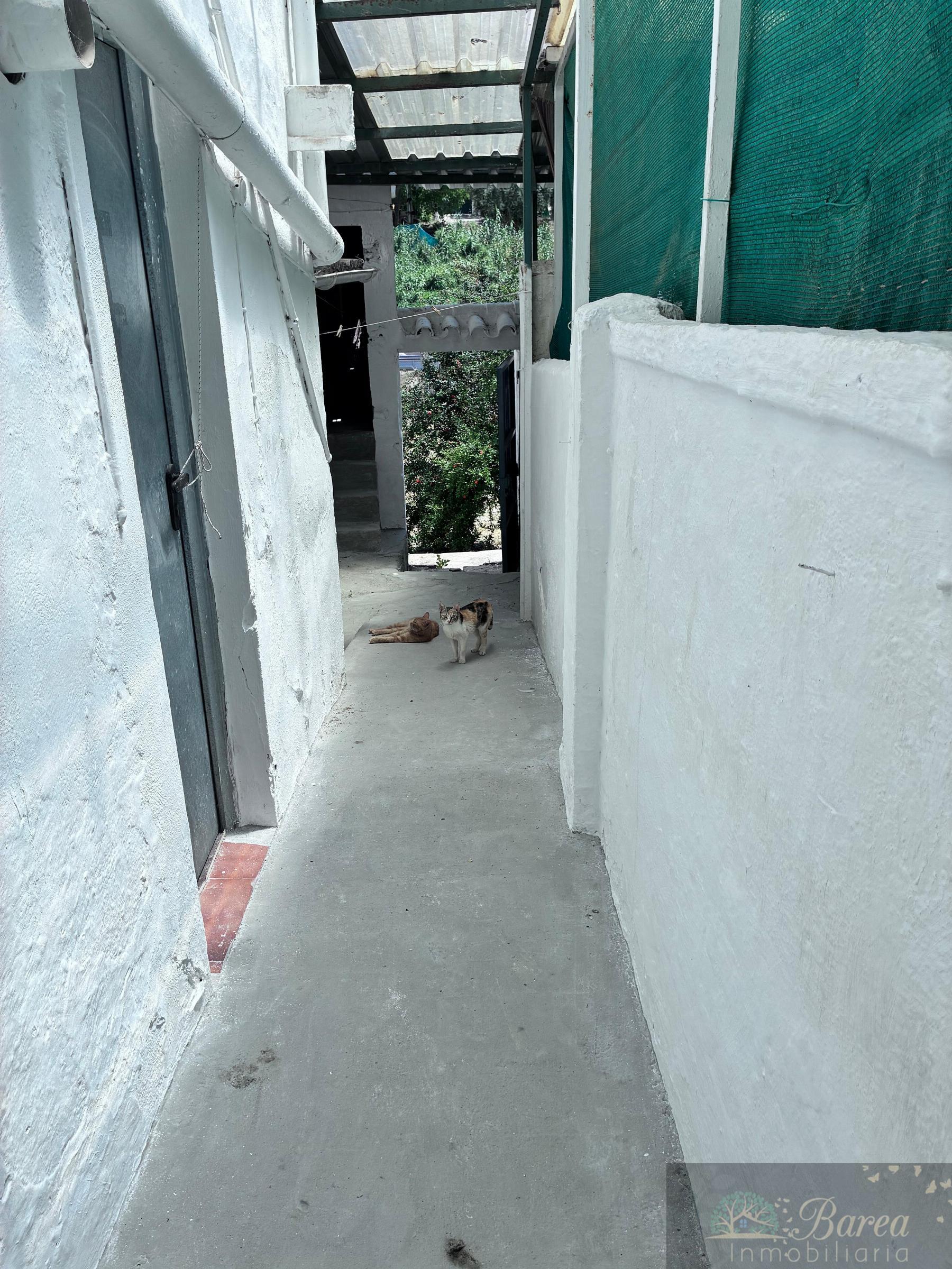 Venta de casa en Rute