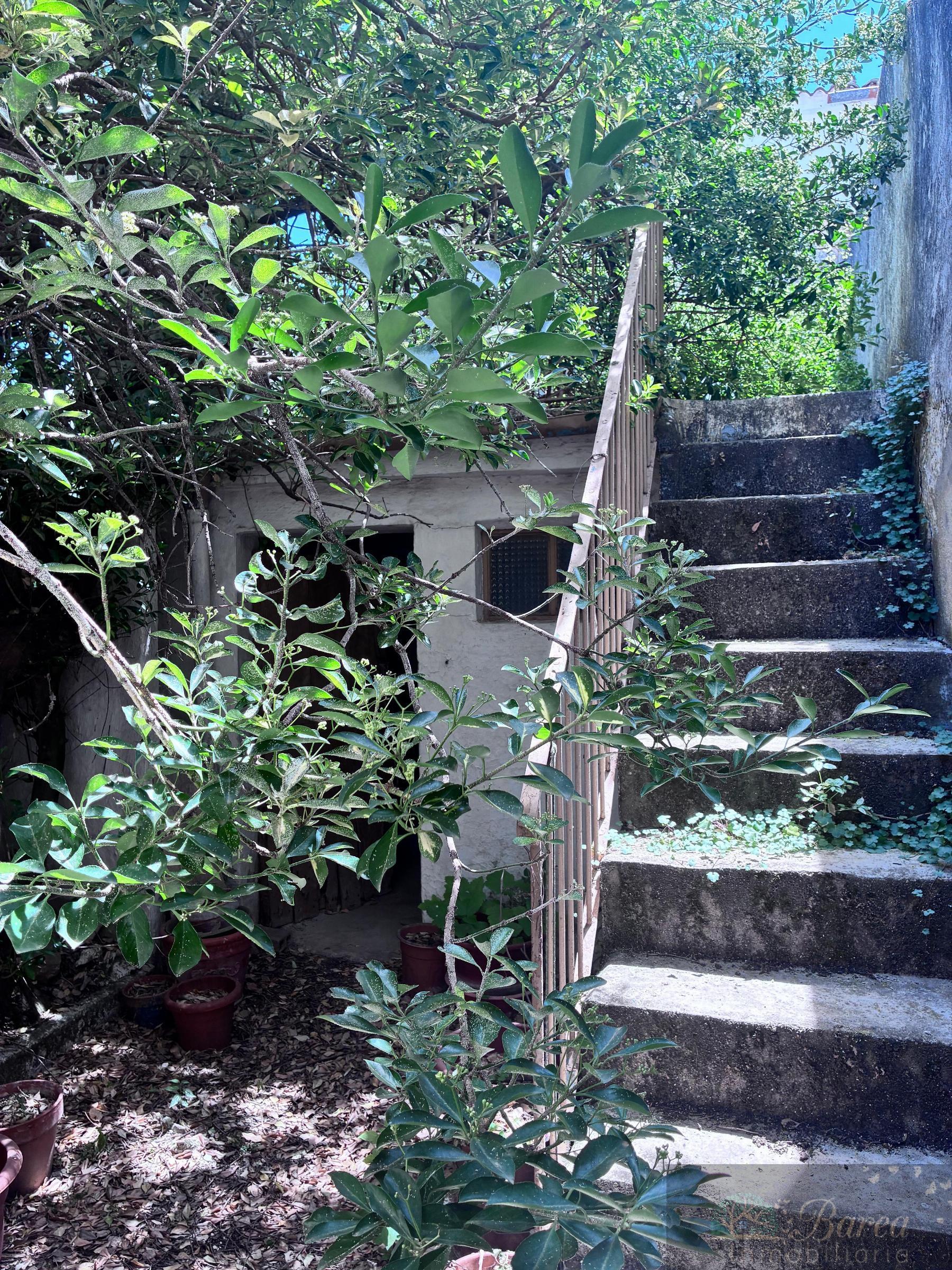 Venta de casa en Rute
