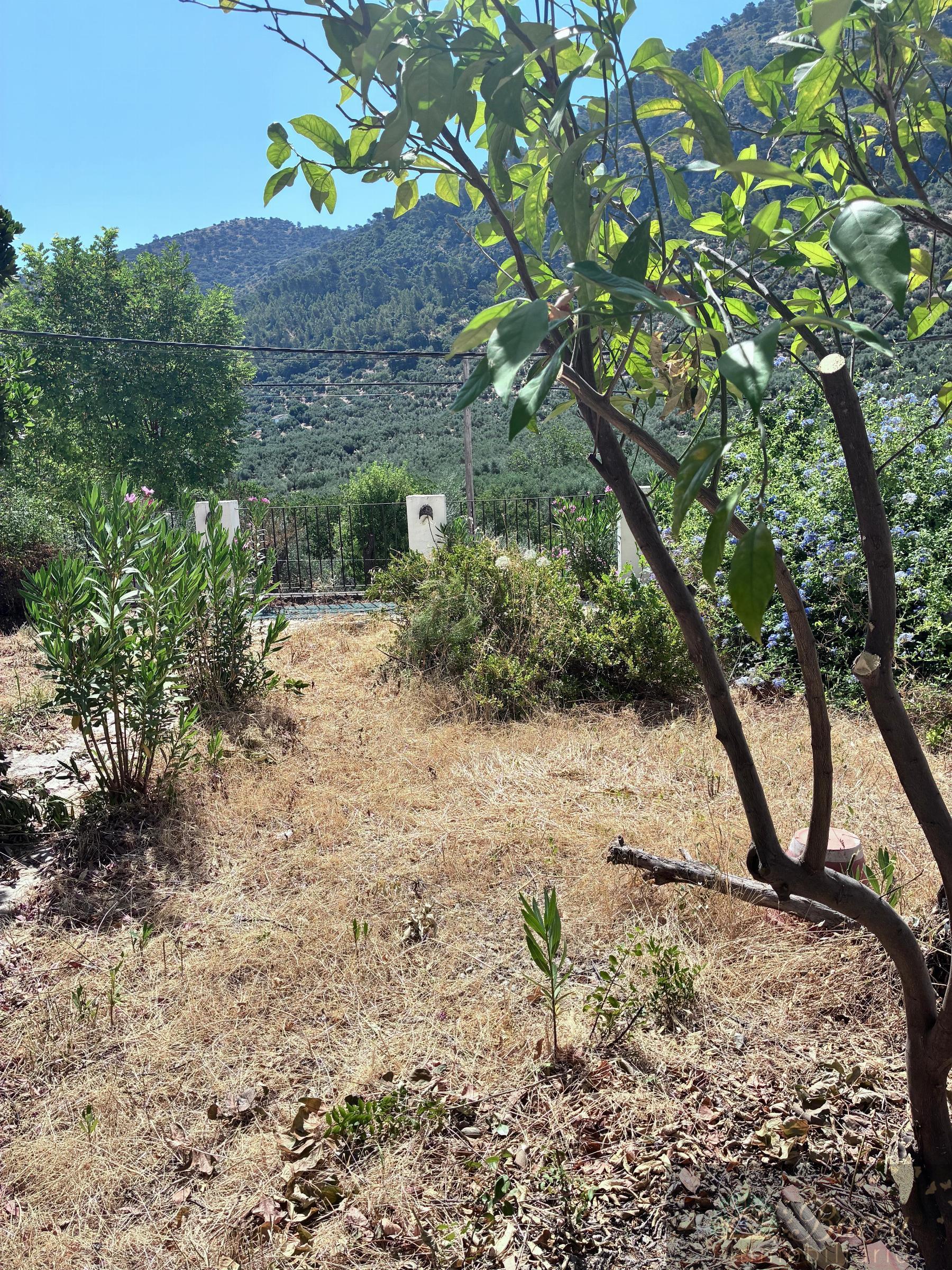 Venta de chalet en Rute