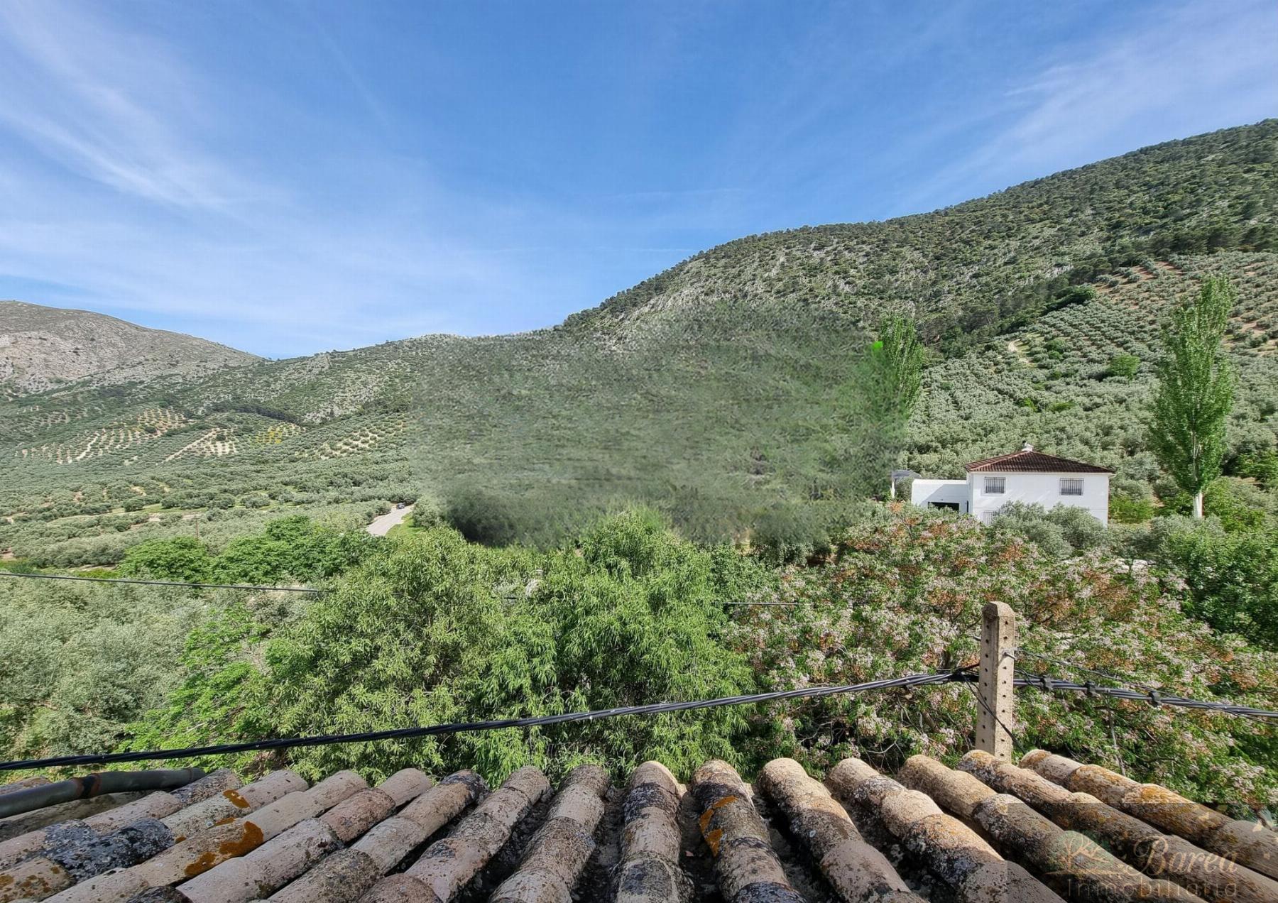 Venta de chalet en Rute