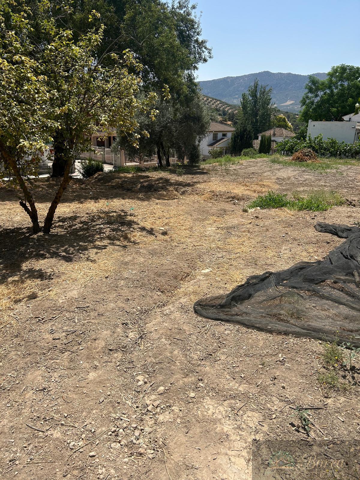 Venta de casa en Rute
