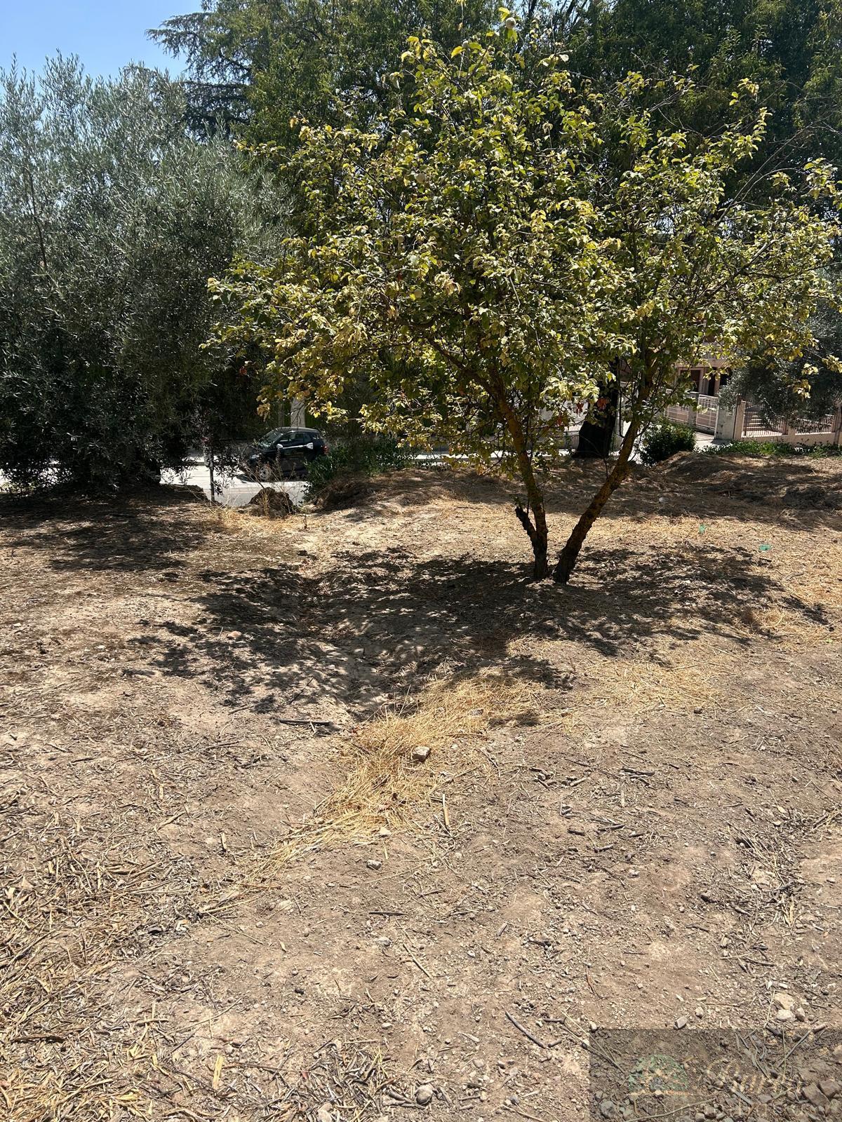 Venta de casa en Rute